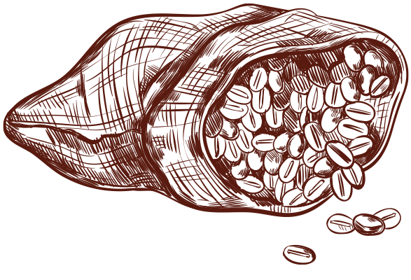 Coffee Beans Coffee Beans